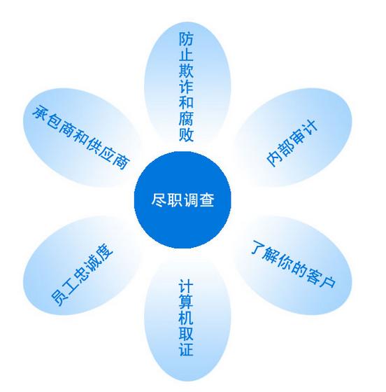 盡職調查的執行和復核