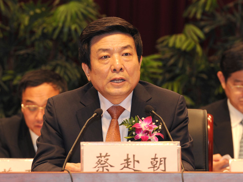新聞出版廣電總局局長蔡赴朝首提鼓勵視頻網站生產原創內容