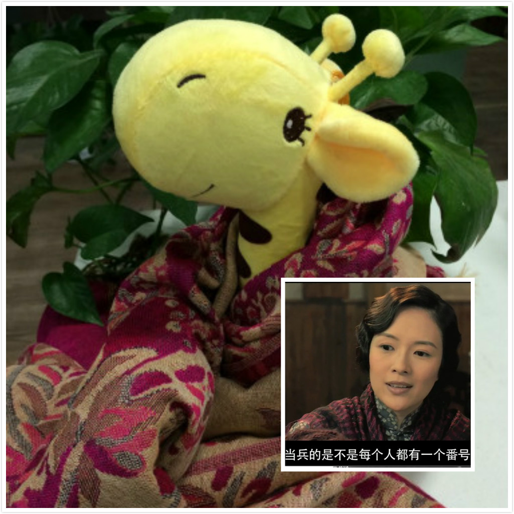 未命名_meitu_0.jpg