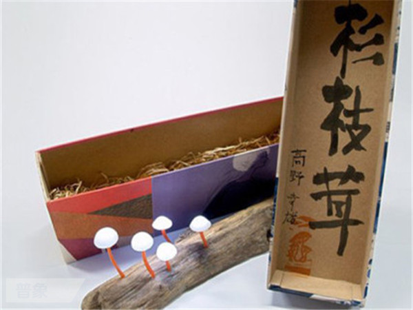 蘑菇燈.jpg