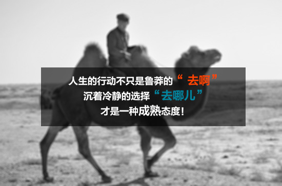 223546p022bbfpqcabpzk0.jpg