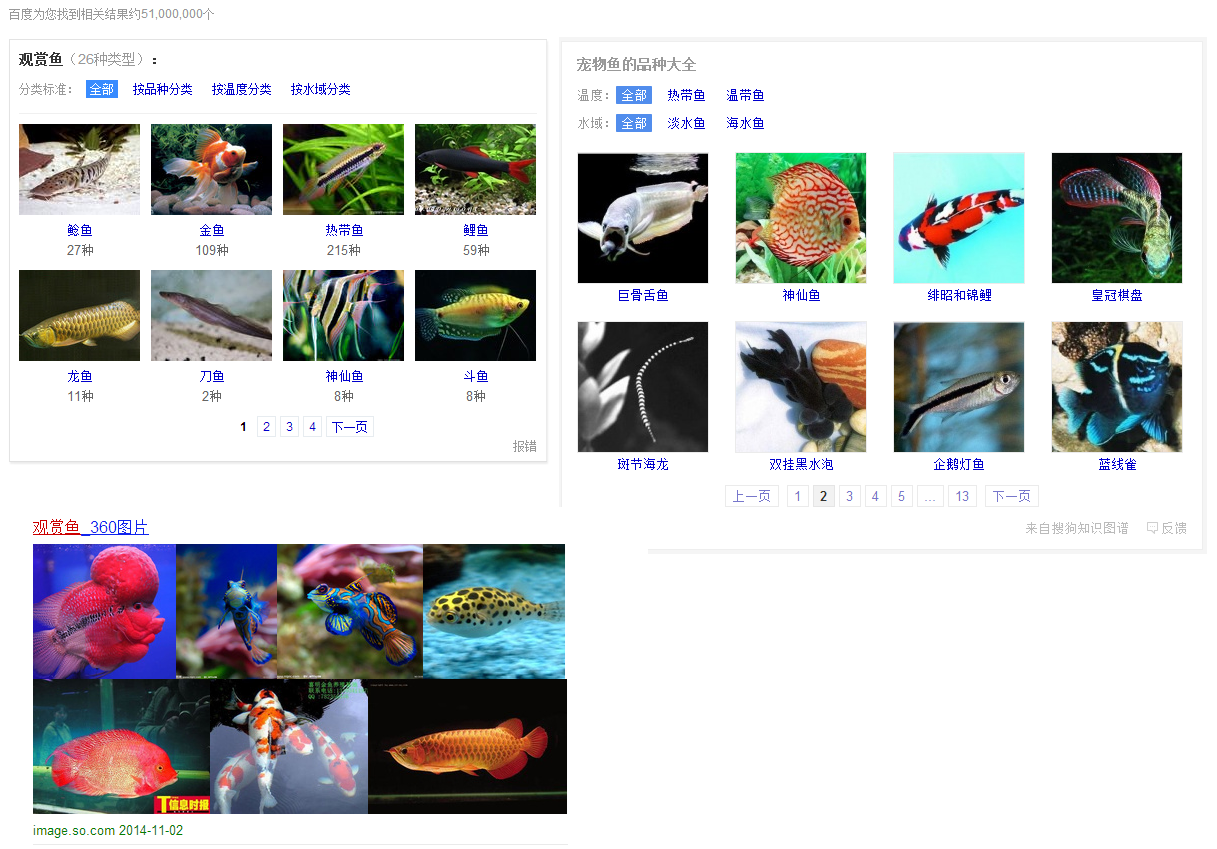 觀賞魚.png