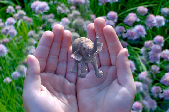 來認識下谷歌領投5.42億美元的這家視覺技術初創公司——Magic Leap