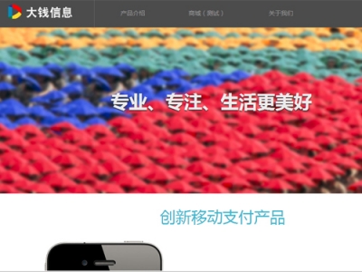 互聯網金融支付平臺——大錢信息